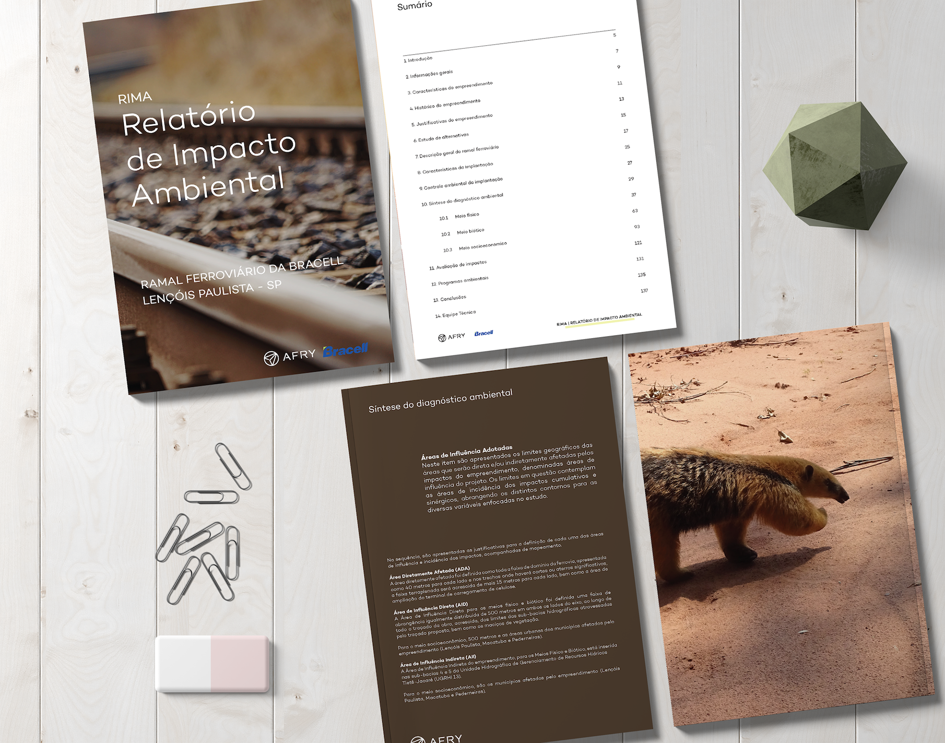 RIMA — Relatório de Impacto Ambiental, Ramal Ferroviário da Bracell / AFRY